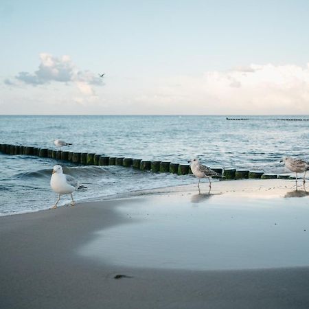 Kamphof Usedom Ferienanlage Лоддин Экстерьер фото
